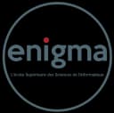 ENIGMA-School logo
